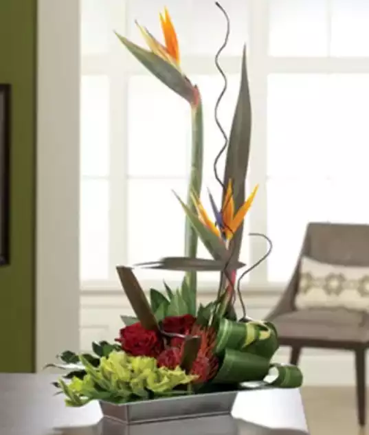 Bird of Paradise Bouquet at From You Flowers