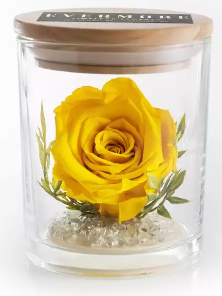 Preserved Yellow Rose Gift for Girlfriend Gift for Wife