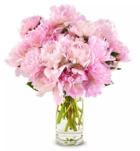 Pretty Pink Peonies - Deluxe. By From You Flowers