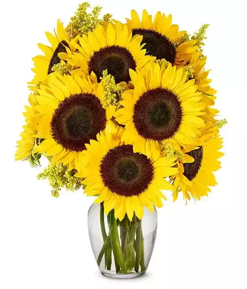 Summer Sunflower Bouquet - Premium at Send Flowers