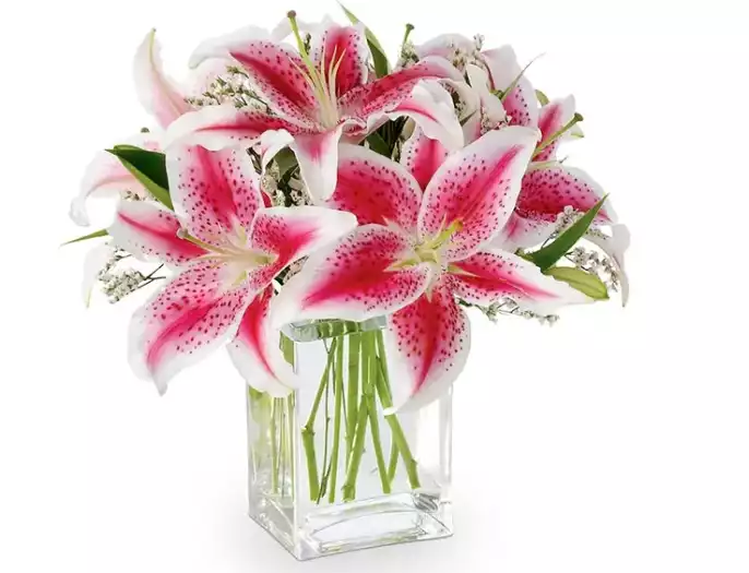 The Shining Stargazer Lily Bouquet at From You Flowers