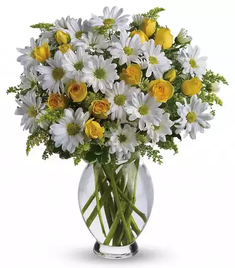 What A Dandy Daisy Bouquet at Send Flowers