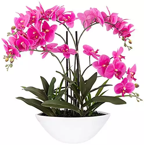 Dahlia Studios Potted Silk Faux Artificial Flowers Arrangement Realistic Pink Orchid in White Ceramic Oval Pot for Home Decoration