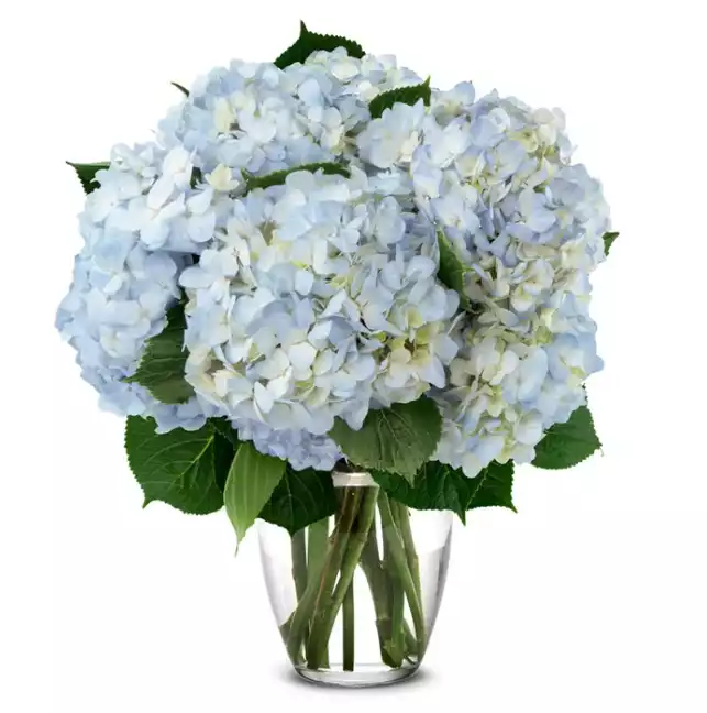 Blue Hydrangea Bouquet at From You Flowers