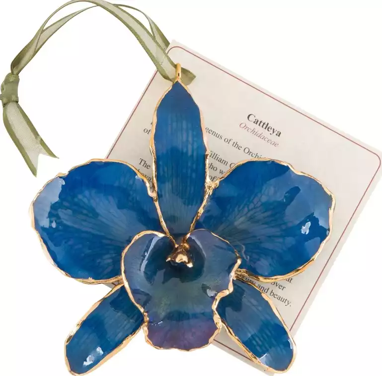Blue Lacquered Real Cattleya Orchid Ornament Gift Boxed