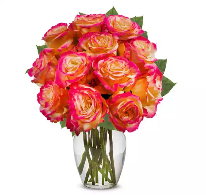 One Dozen Pop of Pink Roses at From You Flowers