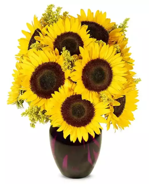 Stunning Sunflowers - Premium at From You Flowers