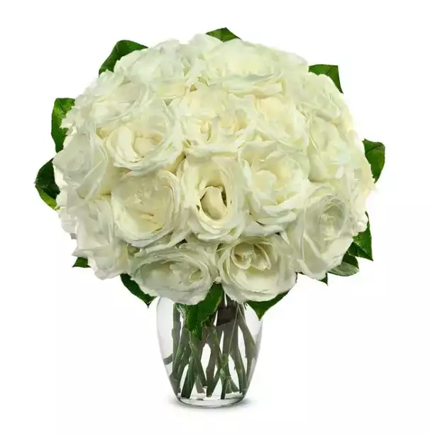 Two Dozen White Roses at From You Flowers