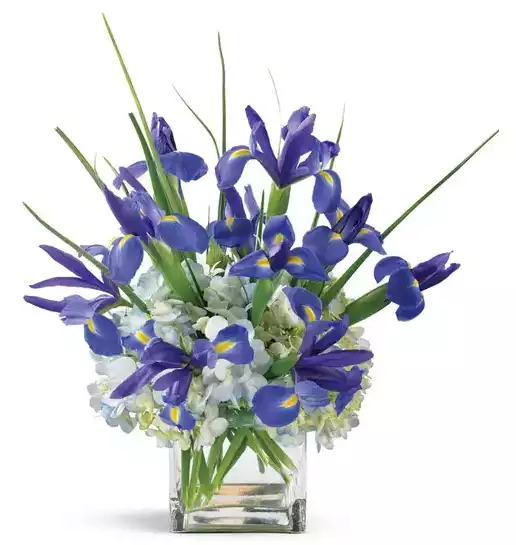 Wondrous Iris and Hydrangea Bouquet at Send Flowers